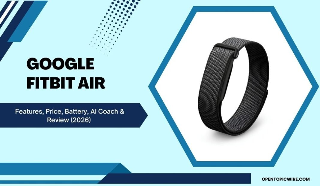 Google Fitbit Air